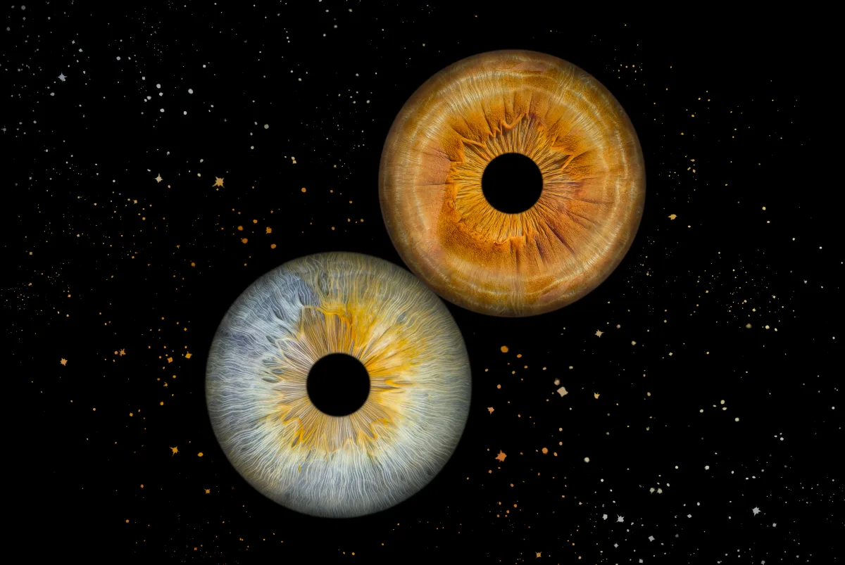 Duo — 2 iris