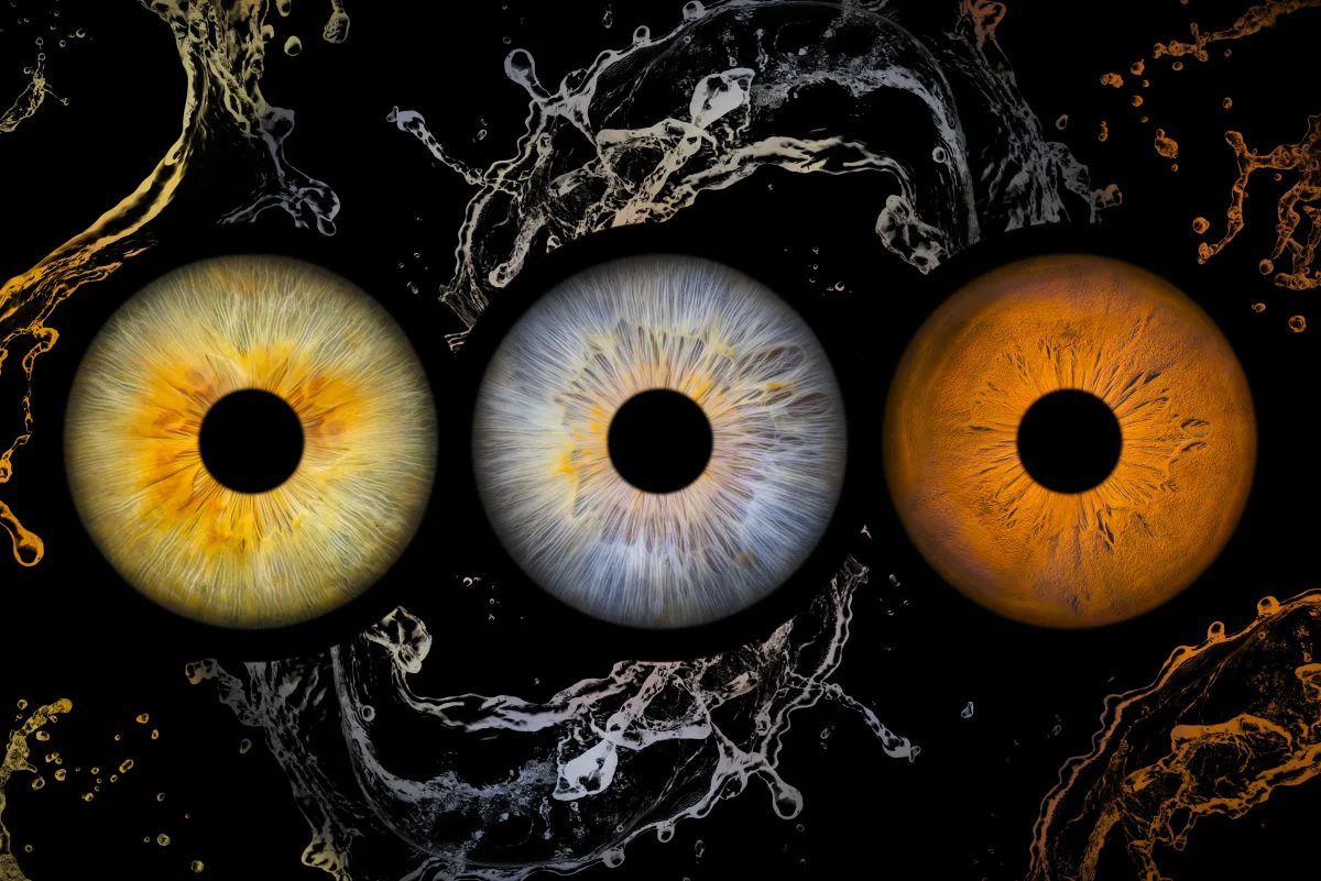 Trio — 3 iris